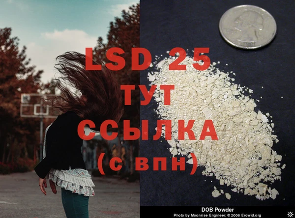 ALPHA PVP Покровск