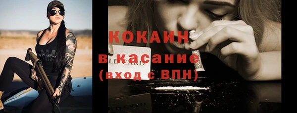 стафф Покачи