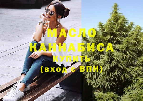 гашик Пересвет