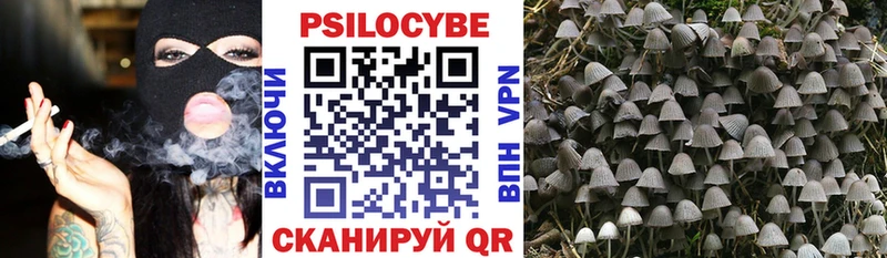 Псилоцибиновые грибы прущие грибы  omg ссылка  Соль-Илецк 